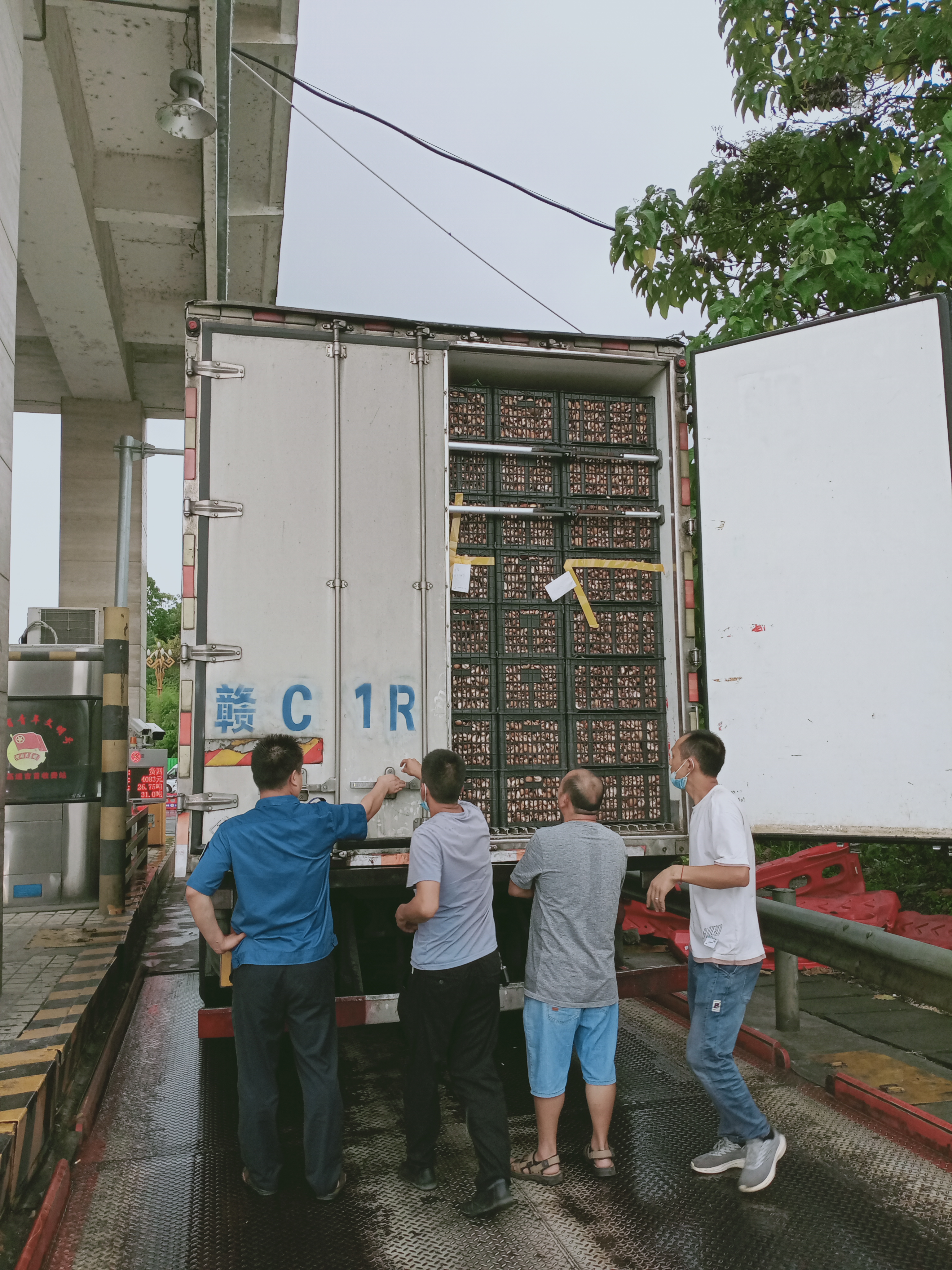 mmexport1658200466621.jpg mmexport1658200466621.jpg