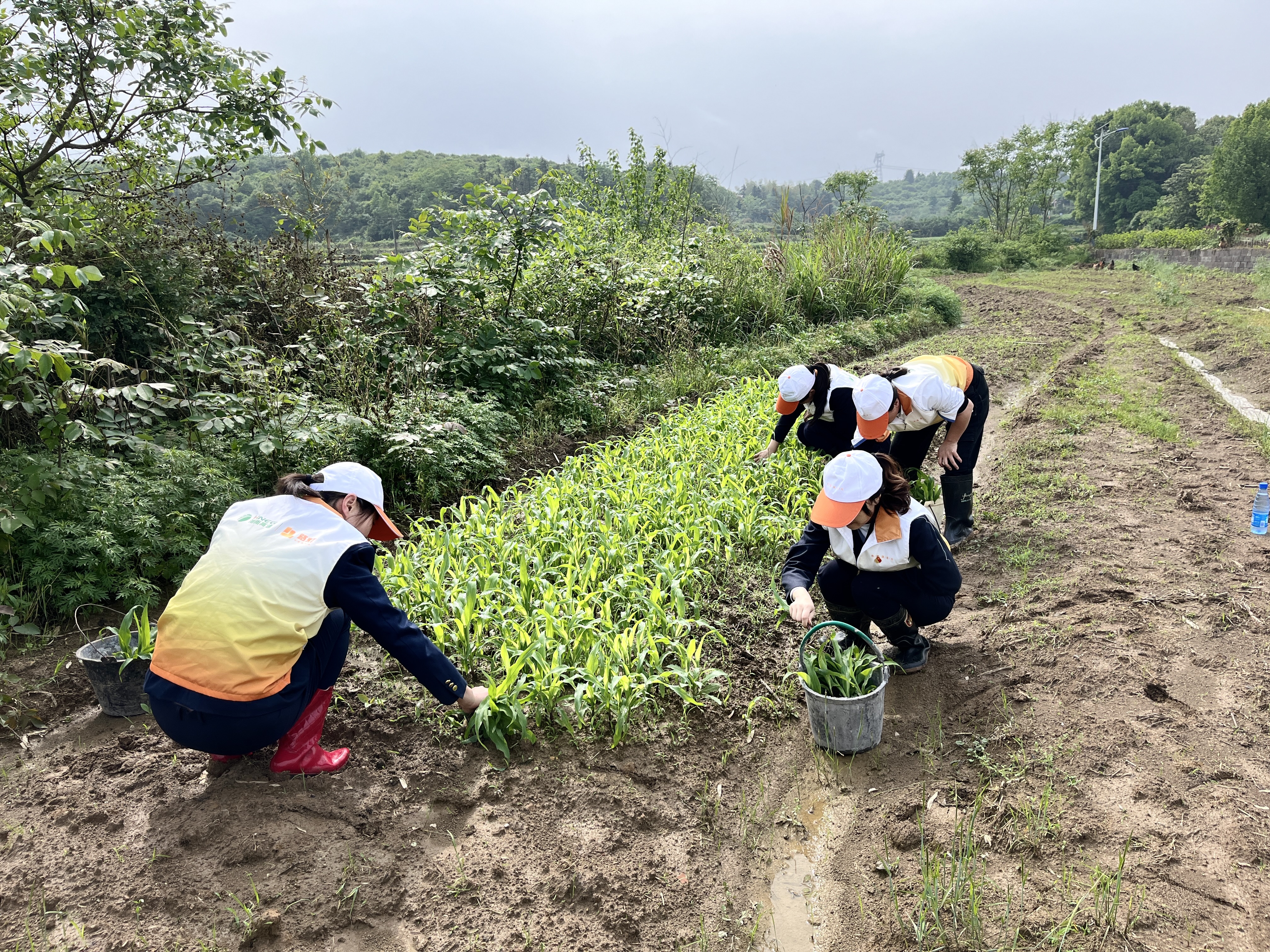 b59927e5c089292a3fcdc06d729ed3c.jpg b59927e5c089292a3fcdc06d729ed3c.jpg