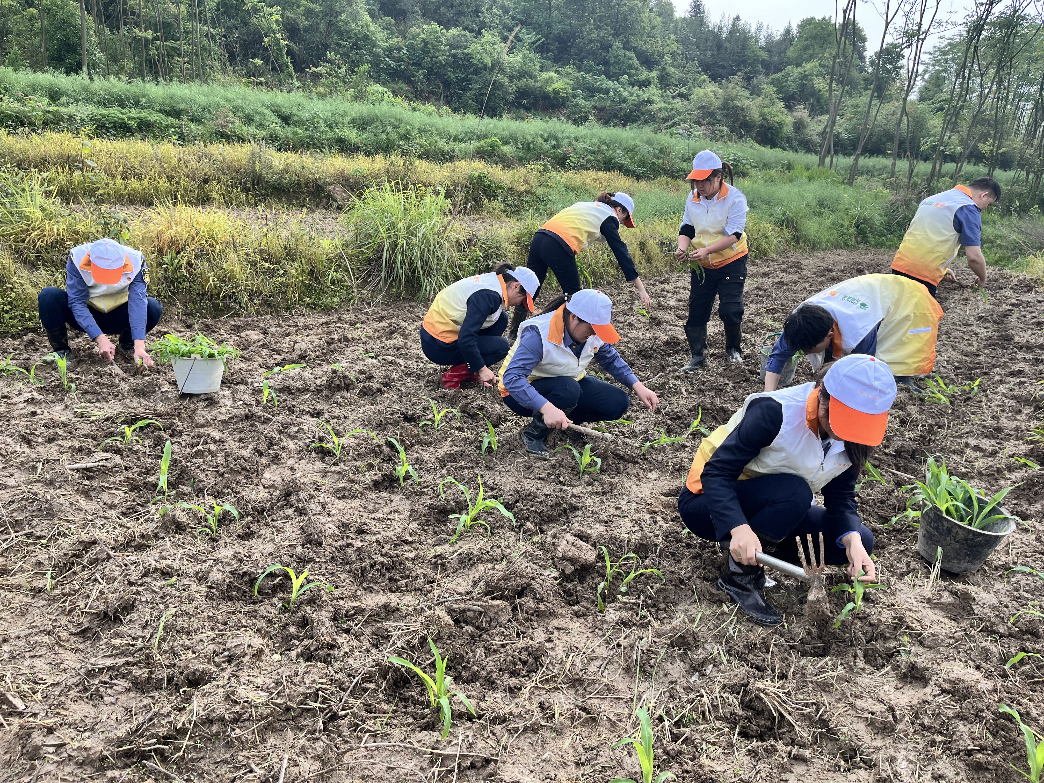 fb2c8522fb9f9210b397bd806ae9bd5.jpg fb2c8522fb9f9210b397bd806ae9bd5.jpg