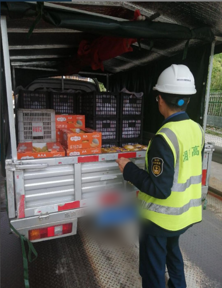 微信图片_20250331145624_副本.png 微信图片_20250331145624_副本.png