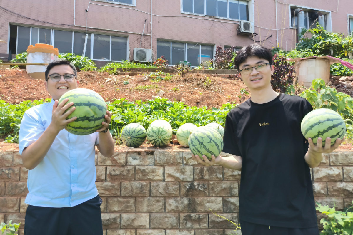 已调整 湘潭北三园建设3.png