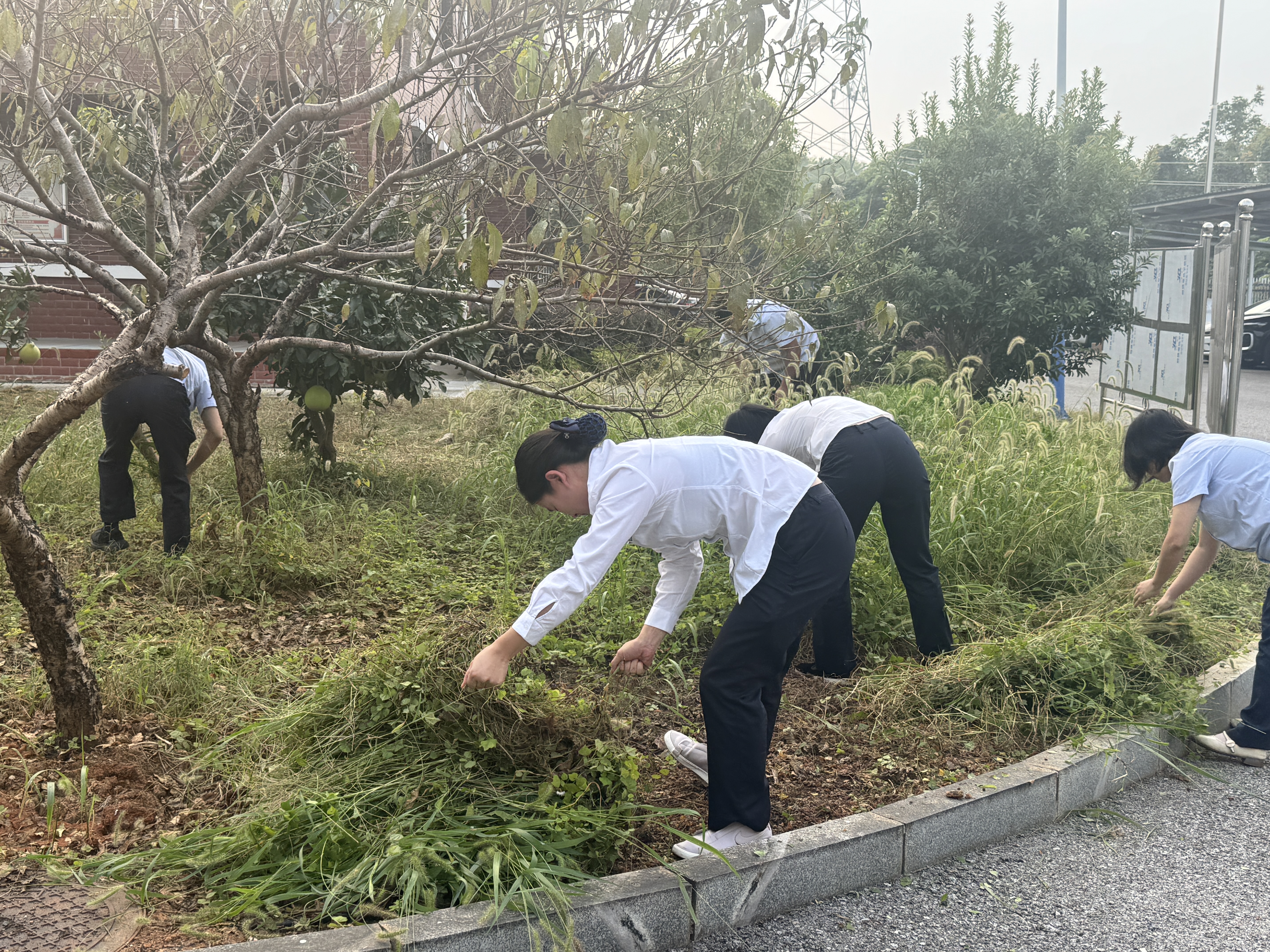 打扫站区卫生.jpg